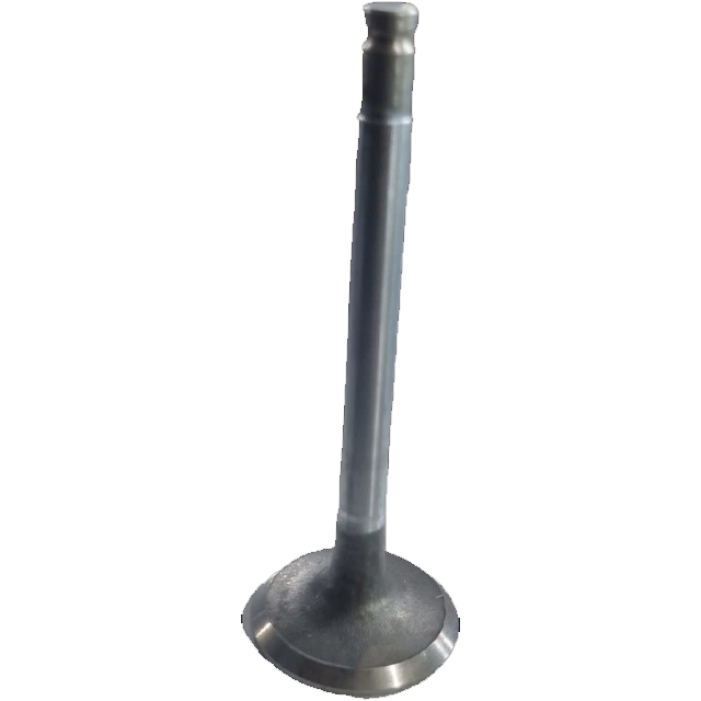 سوپاپ پیکان استیم ایران تعمیر دوم